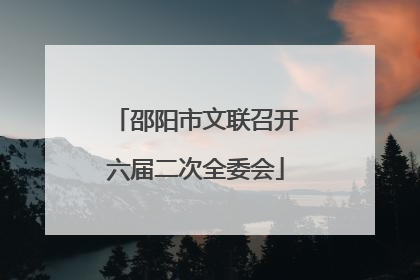 邵阳市文联召开六届二次全委会