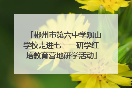 郴州市第六中学观山学校走进七一一研学红培教育营地研学活动