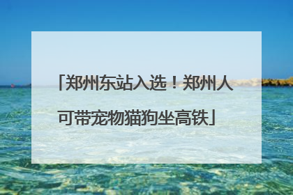 郑州东站入选！郑州人可带宠物猫狗坐高铁
