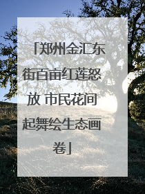郑州金汇东街百亩红莲怒放 市民花间起舞绘生态画卷