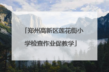 郑州高新区莲花街小学检查作业促教学