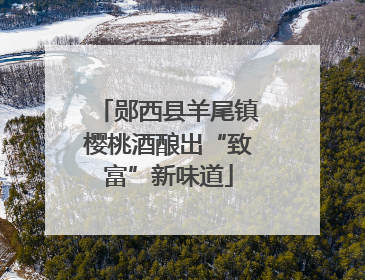 郧西县羊尾镇樱桃酒酿出“致富”新味道