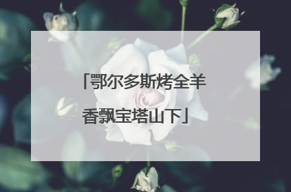 鄂尔多斯烤全羊香飘宝塔山下