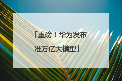 重磅！华为发布准万亿大模型