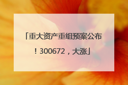 重大资产重组预案公布！300672，大涨