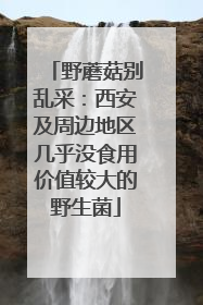 野蘑菇别乱采：西安及周边地区几乎没食用价值较大的野生菌
