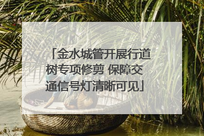 金水城管开展行道树专项修剪 保障交通信号灯清晰可见