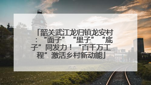 韶关武江龙归镇龙安村：“面子”“里子”“底子”同发力！“百千万工程”激活乡村新动能