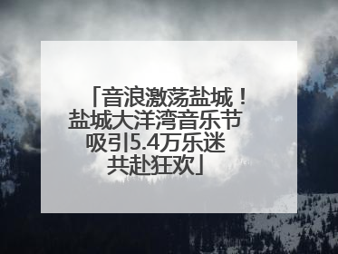 音浪激荡盐城！盐城大洋湾音乐节吸引5.4万乐迷共赴狂欢