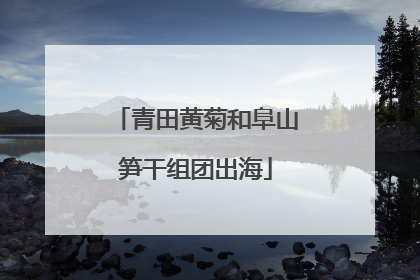 青田黄菊和阜山笋干组团出海