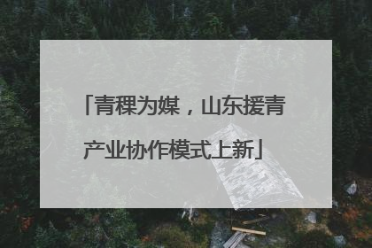 青稞为媒，山东援青产业协作模式上新