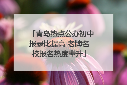 青岛热点公办初中报录比提高 老牌名校报名热度攀升
