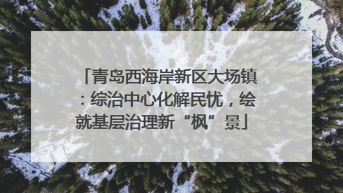 青岛西海岸新区大场镇：综治中心化解民忧，绘就基层治理新“枫”景