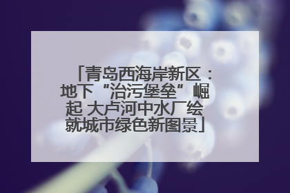 青岛西海岸新区：地下“治污堡垒”崛起 大卢河中水厂绘就城市绿色新图景