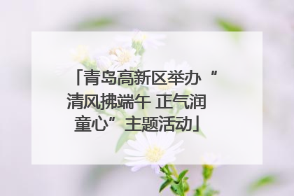 青岛高新区举办“清风拂端午 正气润童心”主题活动