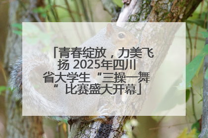 青春绽放，力美飞扬 2025年四川省大学生“三操一舞”比赛盛大开幕
