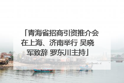 青海省招商引资推介会在上海、济南举行 吴晓军致辞 罗东川主持