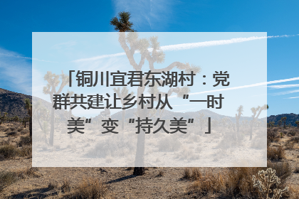 铜川宜君东湖村：党群共建让乡村从“一时美”变“持久美”