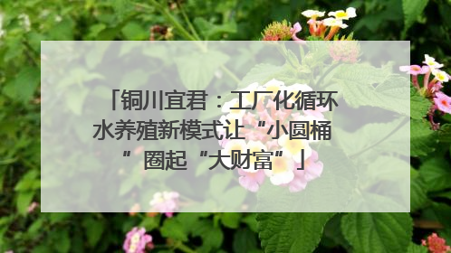 铜川宜君：工厂化循环水养殖新模式让“小圆桶”圈起“大财富”