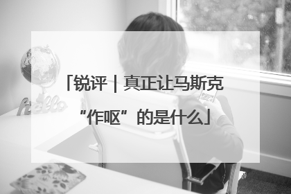锐评｜真正让马斯克“作呕”的是什么