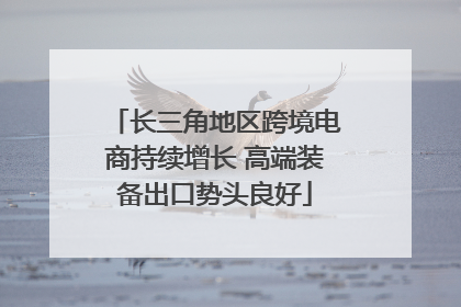 长三角地区跨境电商持续增长 高端装备出口势头良好