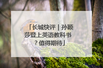 长城快评｜孙颖莎登上英语教科书？值得期待