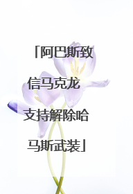 阿巴斯致信马克龙 支持解除哈马斯武装