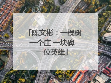 陈文彬：一棵树 一个庄 一块碑 一位英雄