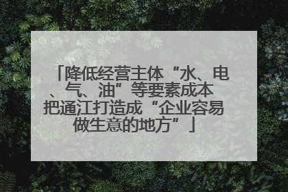 降低经营主体“水、电、气、油”等要素成本 把通江打造成“企业容易做生意的地方”