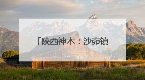 陕西神木：沙峁镇兴四村千亩杂果园结出“杏”福果
