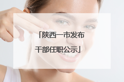 陕西一市发布干部任职公示