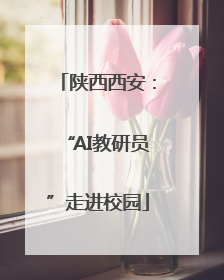陕西西安：“AI教研员”走进校园
