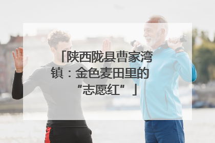 陕西陇县曹家湾镇：金色麦田里的“志愿红”