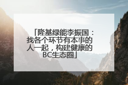 隆基绿能李振国：找各个环节有本事的人一起，构建健康的BC生态圈