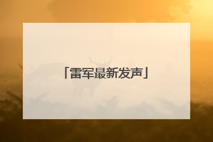 雷军最新发声