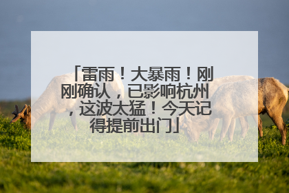 雷雨！大暴雨！刚刚确认，已影响杭州，这波太猛！今天记得提前出门