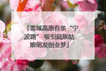 雪域高原有条“宁波路” 吸引藏族姑娘萌发创业梦