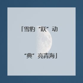 雪豹“跃”动 “典”亮青海