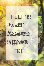 项目“积厚成器” 茂名县域经济释放新动能