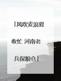 风吹麦浪夏收忙 河南老兵保粮仓
