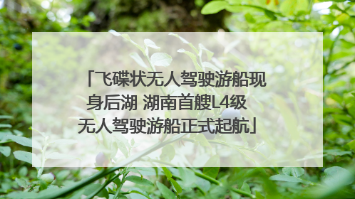飞碟状无人驾驶游船现身后湖 湖南首艘L4级无人驾驶游船正式起航
