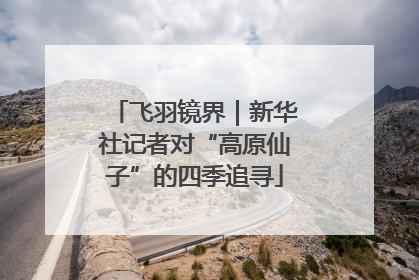 飞羽镜界｜新华社记者对“高原仙子”的四季追寻