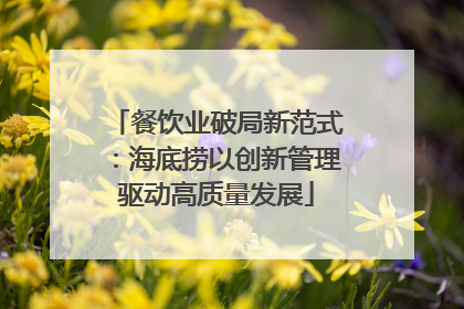 餐饮业破局新范式：海底捞以创新管理驱动高质量发展