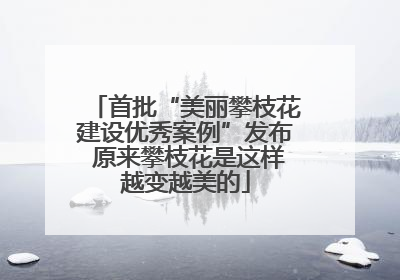 首批“美丽攀枝花建设优秀案例”发布 原来攀枝花是这样越变越美的
