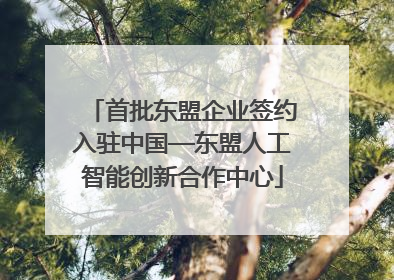首批东盟企业签约入驻中国—东盟人工智能创新合作中心