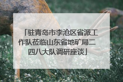 驻青岛市李沧区省派工作队莅临山东省地矿局二四八大队调研座谈