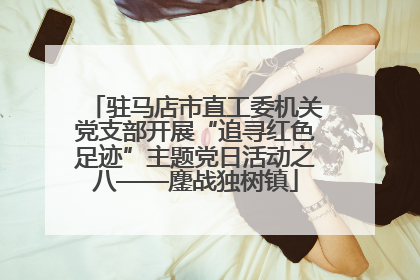 驻马店市直工委机关党支部开展“追寻红色足迹”主题党日活动之八——鏖战独树镇