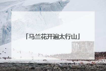 马兰花开遍太行山