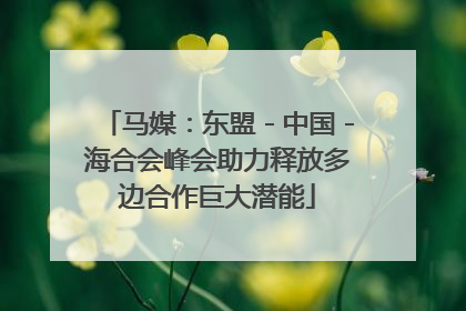 马媒：东盟－中国－海合会峰会助力释放多边合作巨大潜能