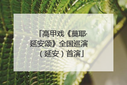 高甲戏《莫耶·延安颂》全国巡演（延安）首演